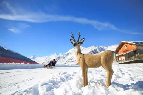 apartmetns_hubertus_wintersport_tvb_passeiertal_benjamin_pftischer